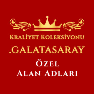 .galatasaray domain